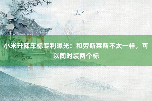 小米升降车标专利曝光：和劳斯莱斯不太一样，可以同时装两个标
