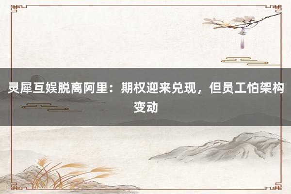灵犀互娱脱离阿里：期权迎来兑现，但员工怕架构变动
