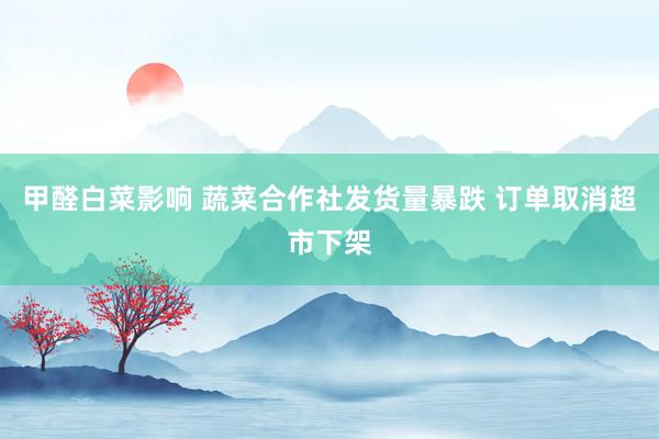 甲醛白菜影响 蔬菜合作社发货量暴跌 订单取消超市下架