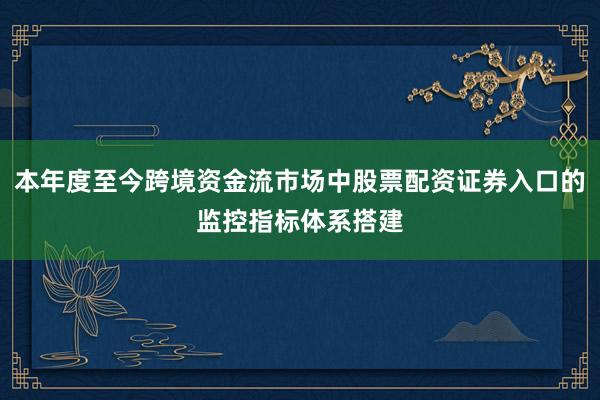 本年度至今跨境资金流市场中股票配资证券入口的监控指标体系搭建