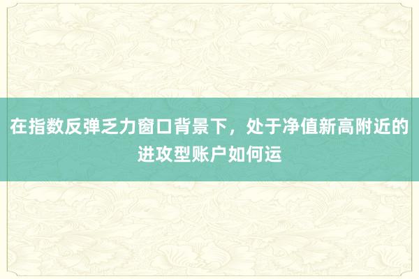 在指数反弹乏力窗口背景下，处于净值新高附近的进攻型账户如何运