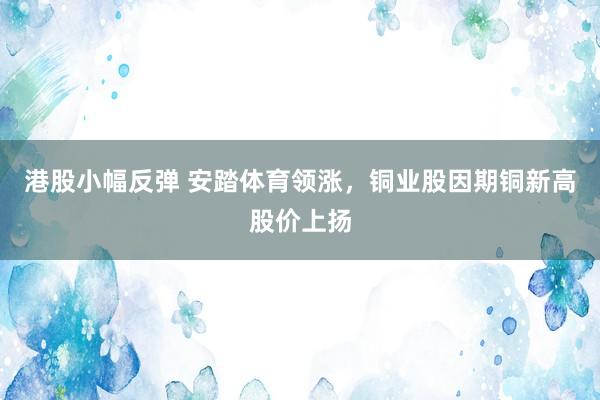 港股小幅反弹 安踏体育领涨，铜业股因期铜新高股价上扬