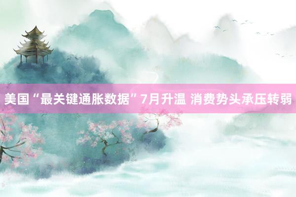 美国“最关键通胀数据”7月升温 消费势头承压转弱