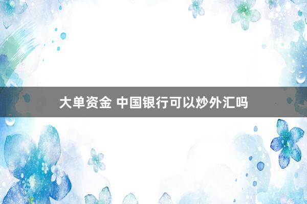 大单资金 中国银行可以炒外汇吗