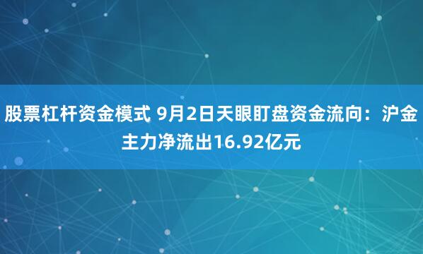 股票杠杆资金模式 9月2日天眼盯盘资金流向：沪金主力净流出16.92亿元