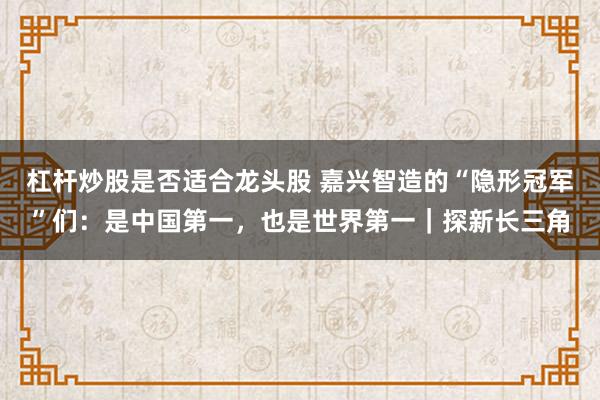杠杆炒股是否适合龙头股 嘉兴智造的“隐形冠军”们:是中国第一,也是世界第一|探新长三角