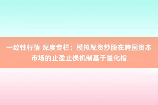 一致性行情 深度专栏：模拟配资炒股在跨国资本市场的止盈止损机制基于量化指